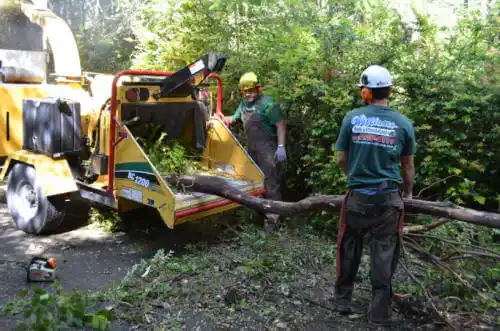 tree services Williamsburg